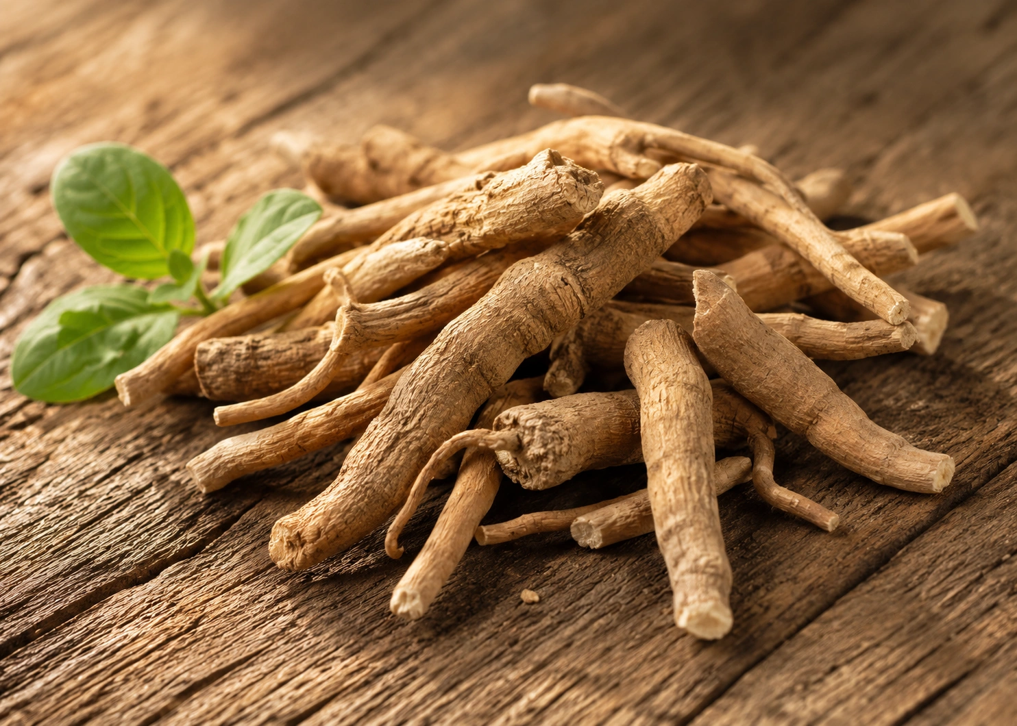 Ashwagandha